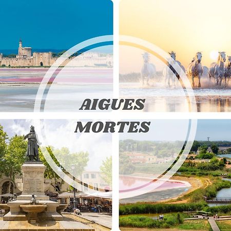Le Dream Beach-Terrasse-Vue Mer D'Exception-Wifi-Parking - Top Pros Servicesconciergerie بالافاس ليه فلو المظهر الخارجي الصورة