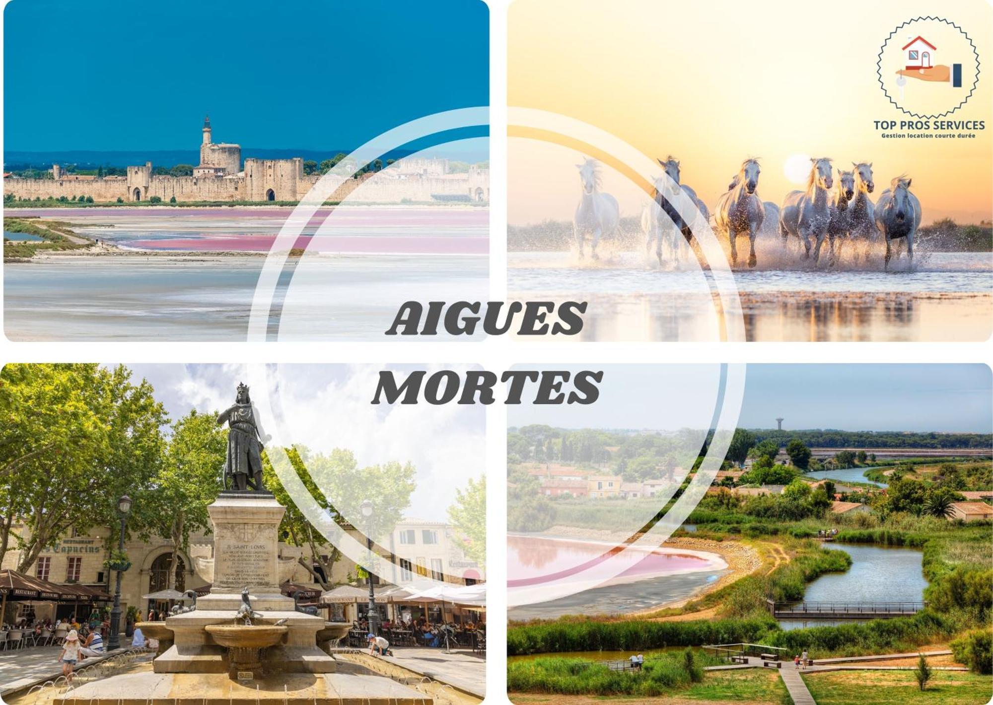 Le Dream Beach-Terrasse-Vue Mer D'Exception-Wifi-Parking - Top Pros Servicesconciergerie بالافاس ليه فلو المظهر الخارجي الصورة